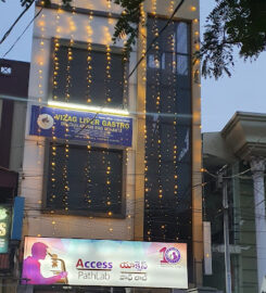 ACCESS PATHLAB