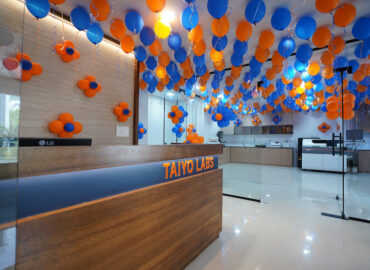 Taiyo Labs